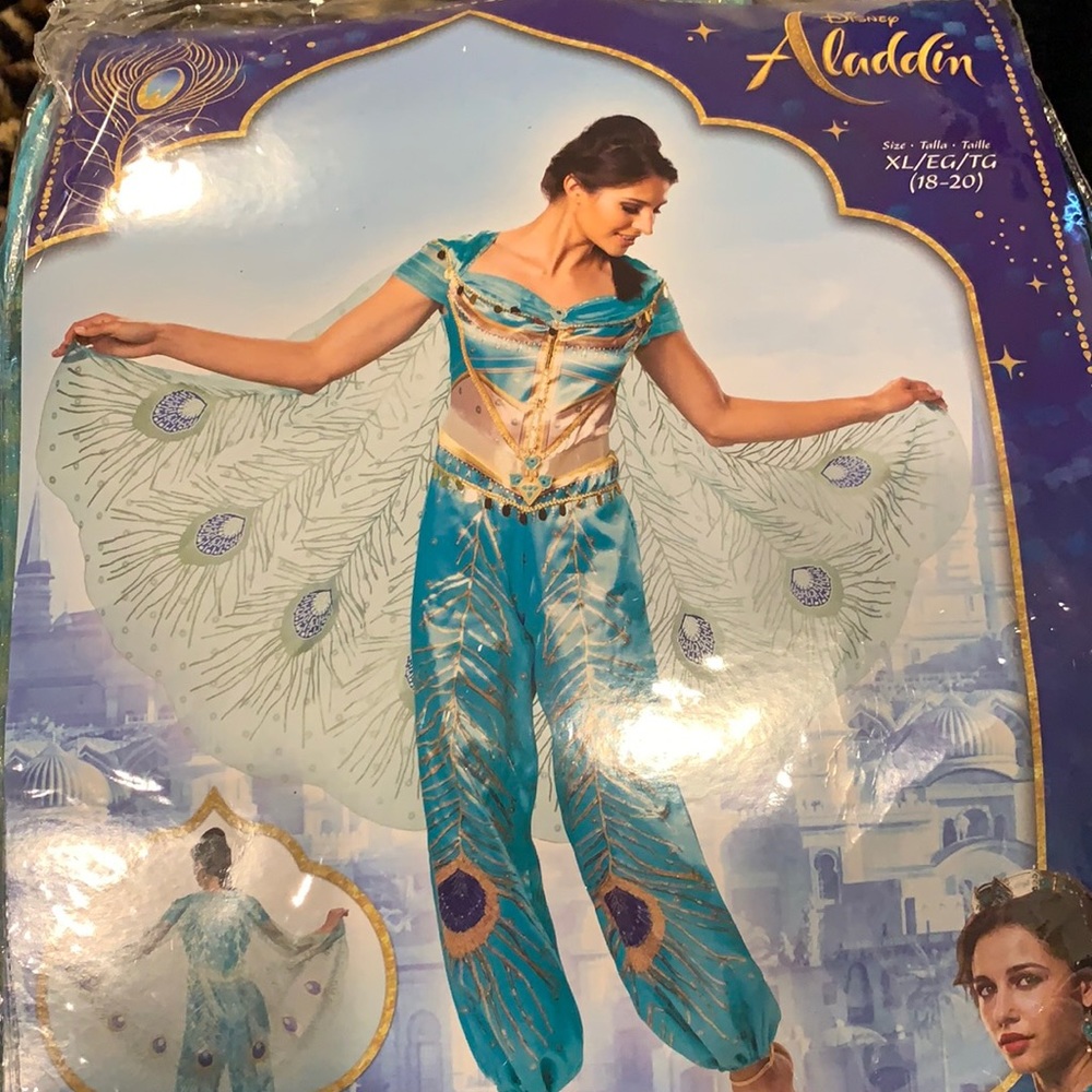 Deluxe Princess Jasmine Costume 💎